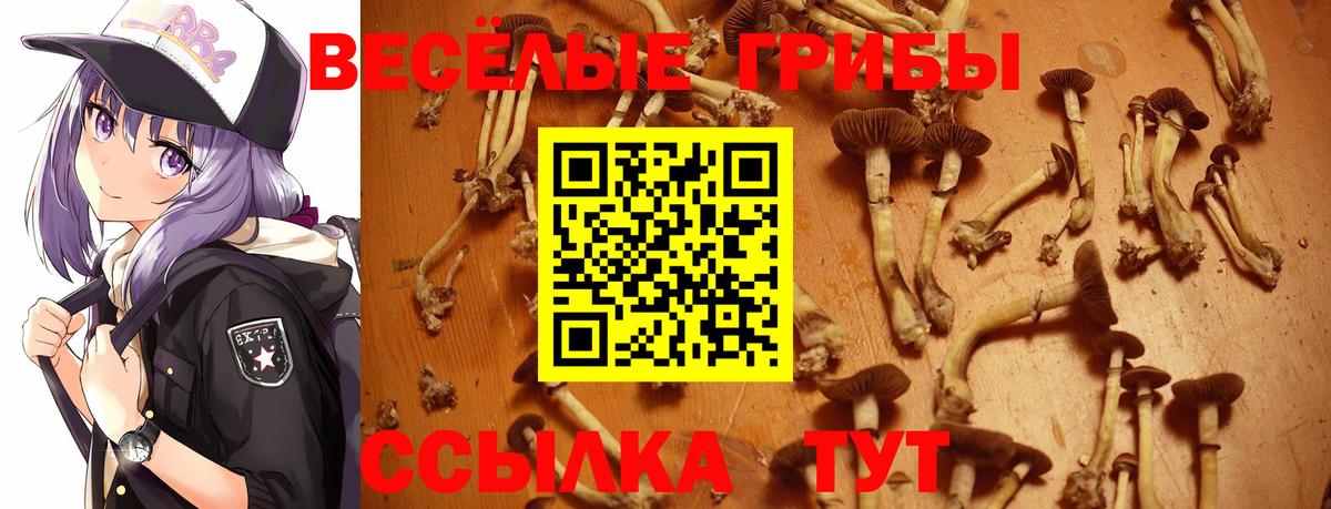 Галлюциногенные грибы прущие грибы  Вход с VPN  Назрань 