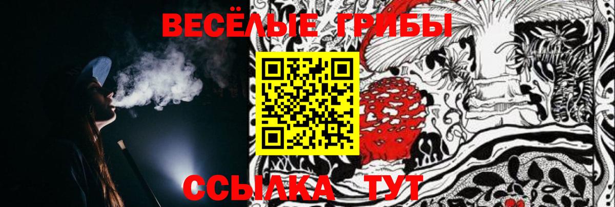 Псилоцибиновые грибы Psilocybe Назрань